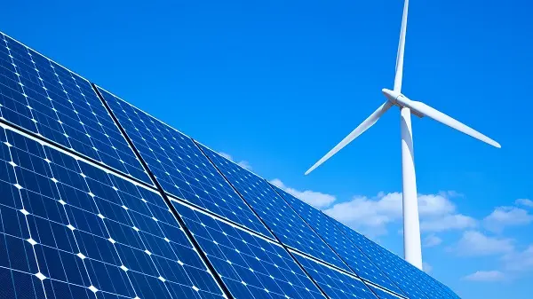 Entrevista | BioD, Bioenergy y Oleoflores lideran nuevas inversiones en biocombustibles en Colombia