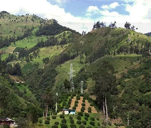 Exportaciones de banano y ferroníquel se verían superadas por proyecto minero de AngloGold Ashanti en Antioquia