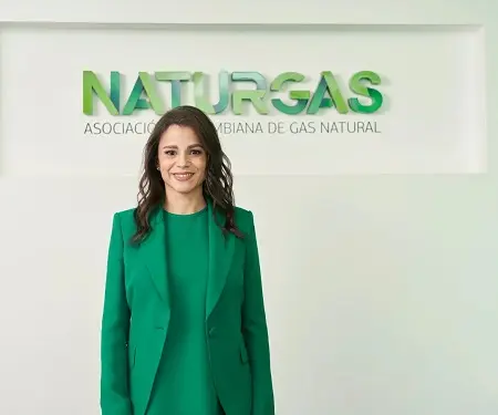 Naturgas prevé que el gas seguirá siendo el energético prioritario del sector industrial